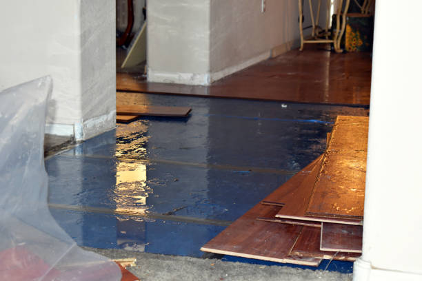 Professional Basement Flood Cleanup technician working in Mosheim, TN